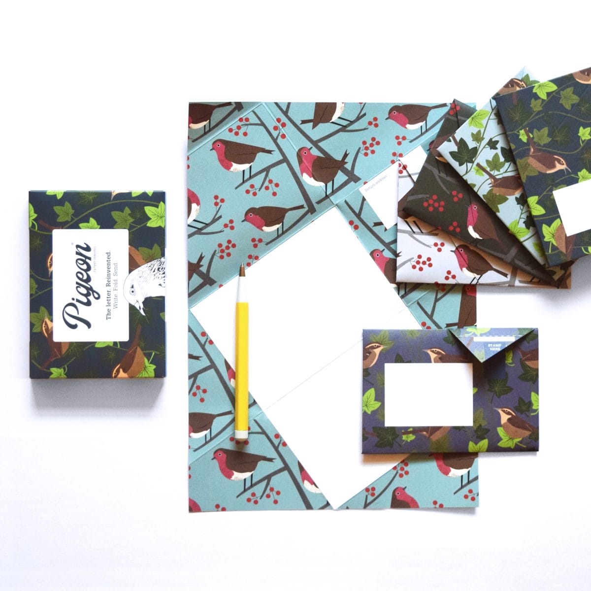 Robin and Wren Pigeons - 画像 (2)