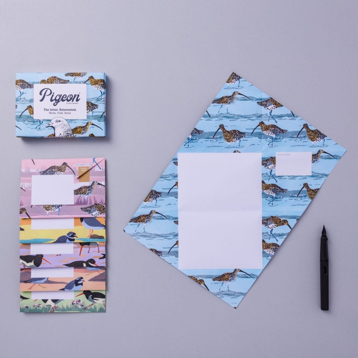 Hebridean Pigeons - 画像 (4)