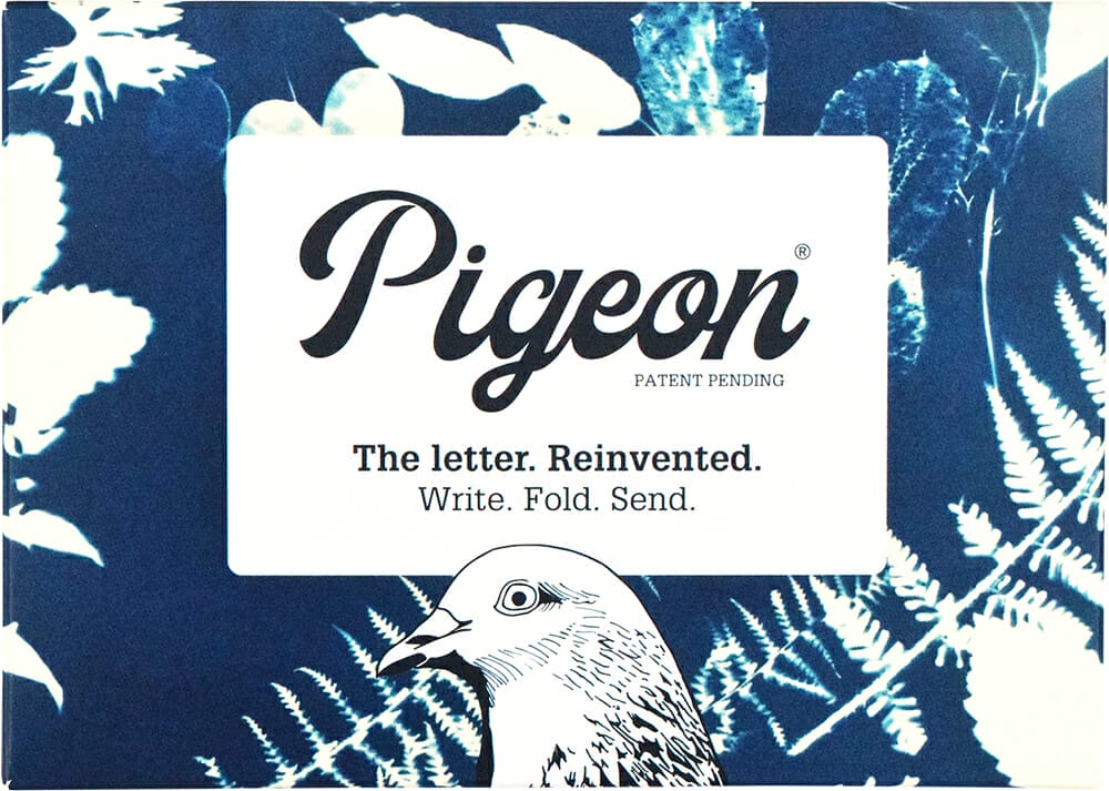 Nagykereskedelmi galamb