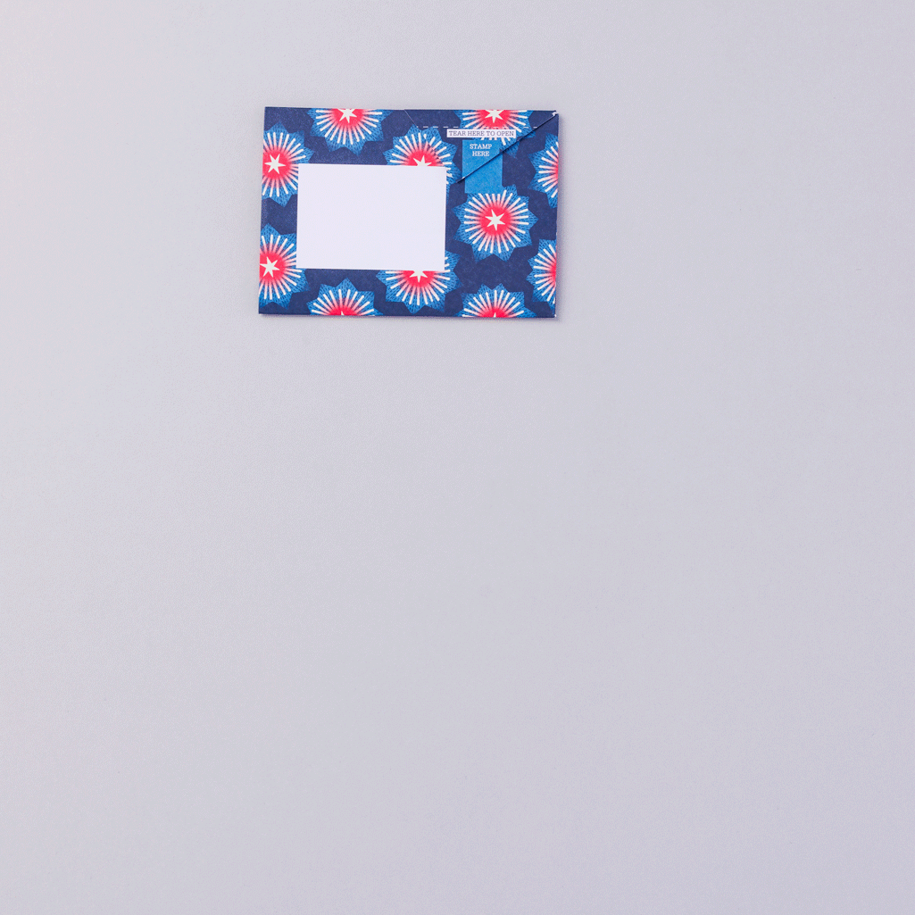 Starburst Pigeon - immagine 2