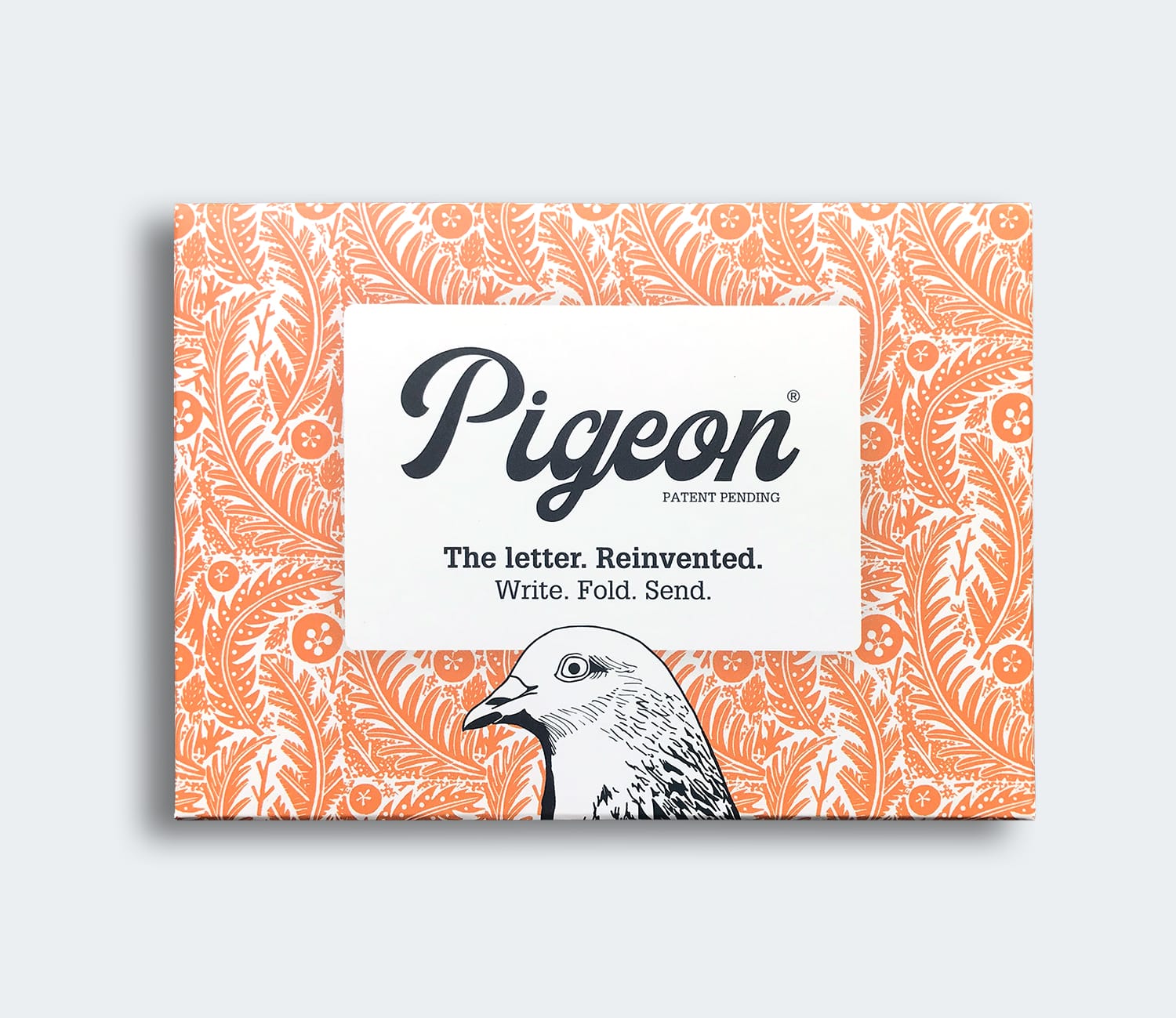 Estudio de la naturaleza Paloma