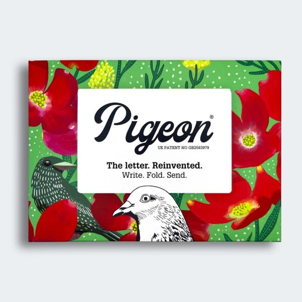 Gołąb od zmierzchu do świtu