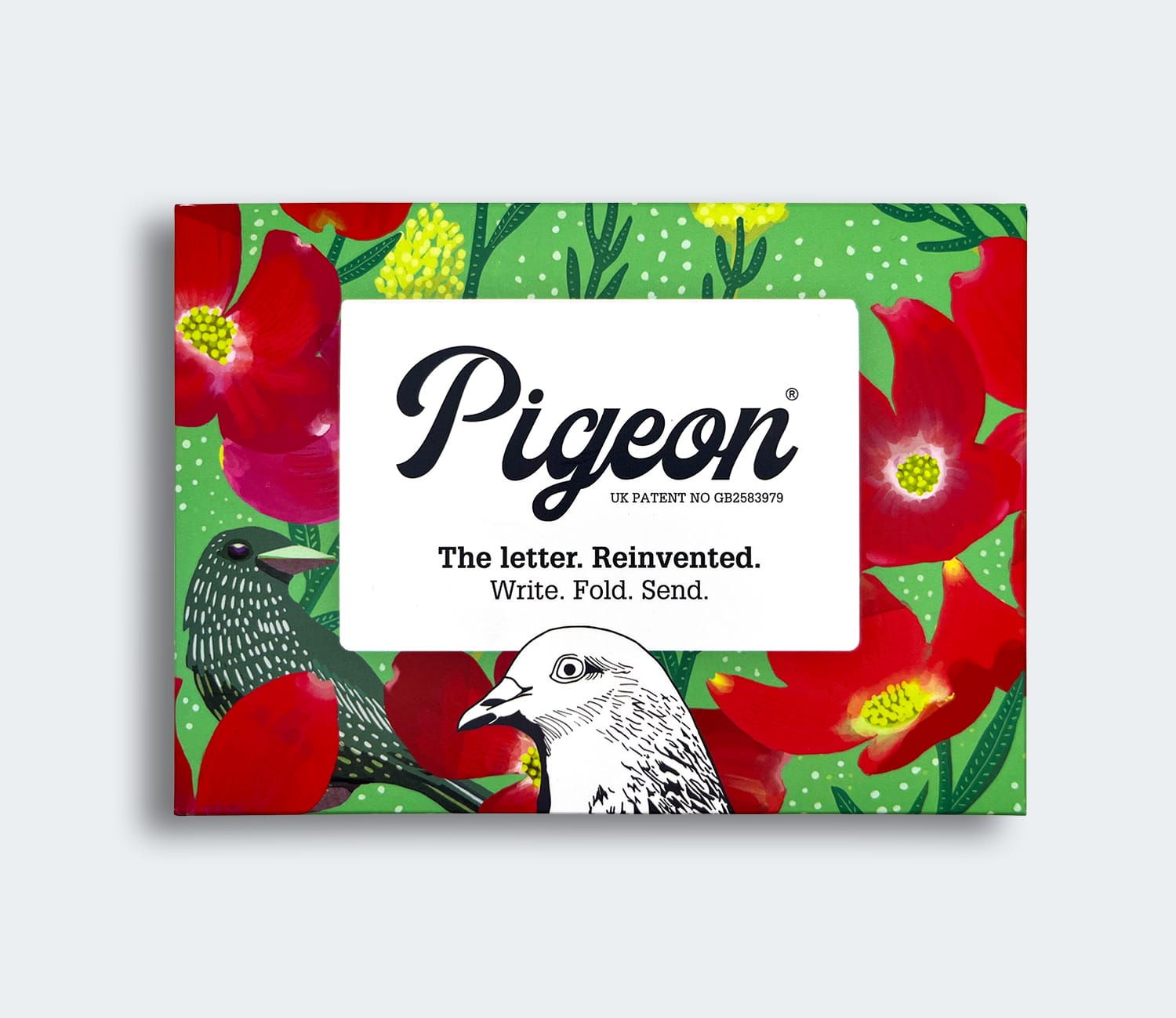 Pigeon du crépuscule à l'aube