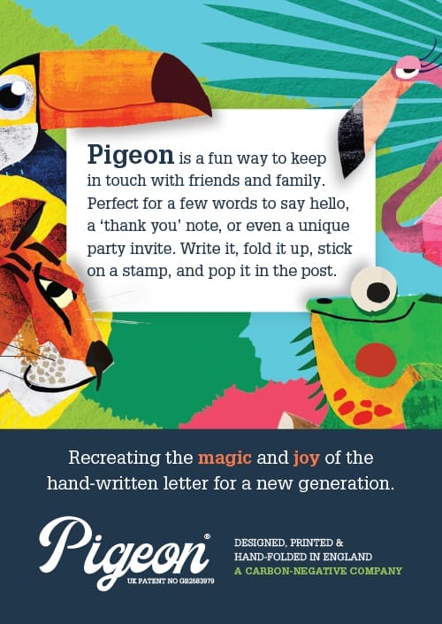 Nagykereskedelmi galamb