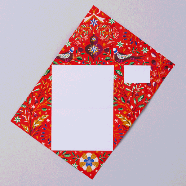 Buy Pigeon Buy Pigeon